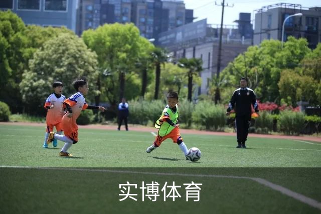 关于实博体育